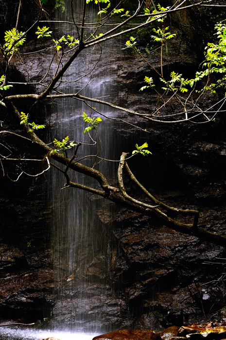 _dsc8791.jpg