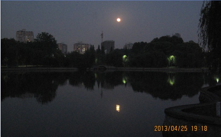 010.jpg