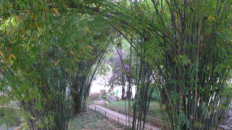 p1030942_.jpg