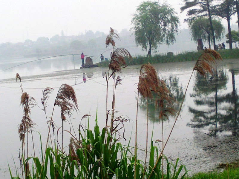 file1112.jpg