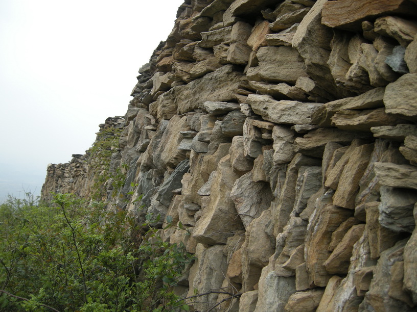 dscn8329.jpg