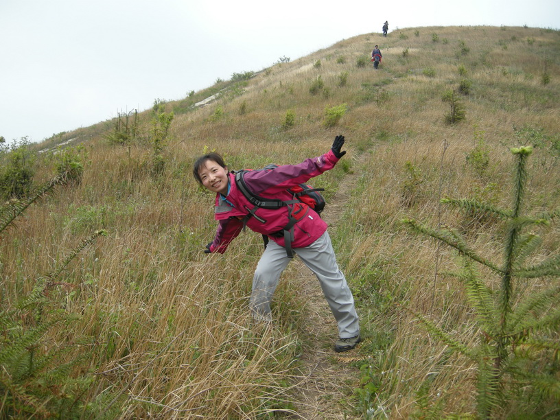dscn8338.jpg