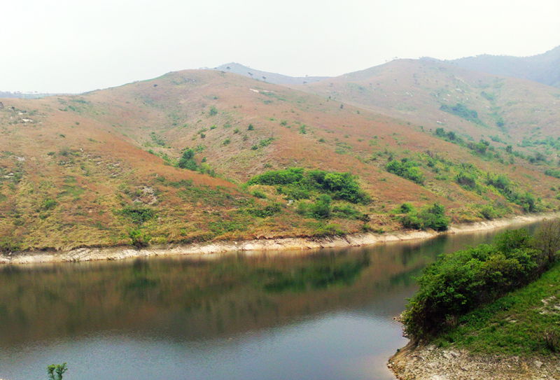 file0861.jpg