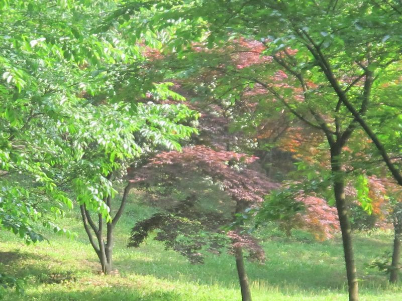 4ĥɽͽ 017.jpg