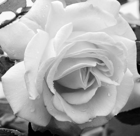 p1090162_.jpg