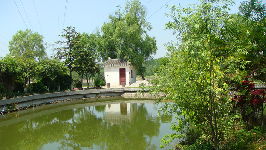 dsc09795_.jpg