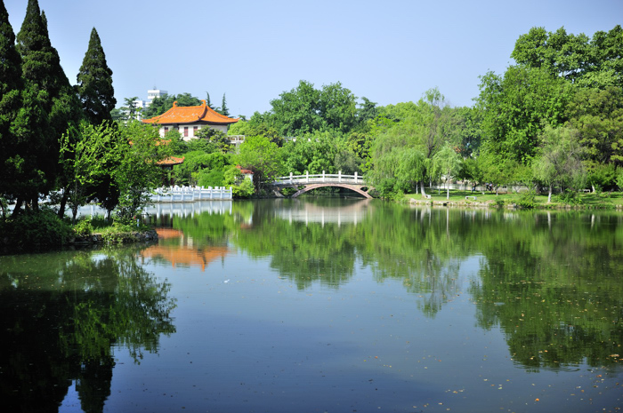 _dsc9101.jpg