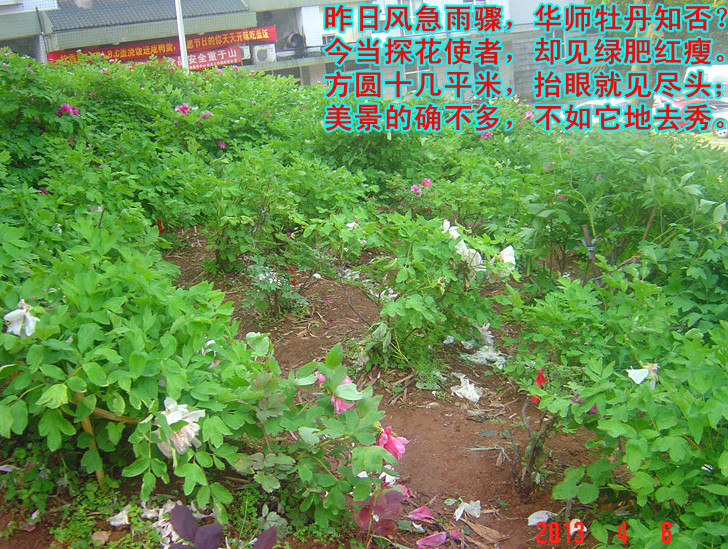dsc02092__.jpg