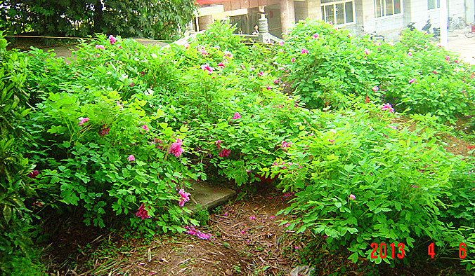 dsc02091___.jpg