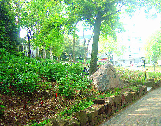 dsc02099___.jpg