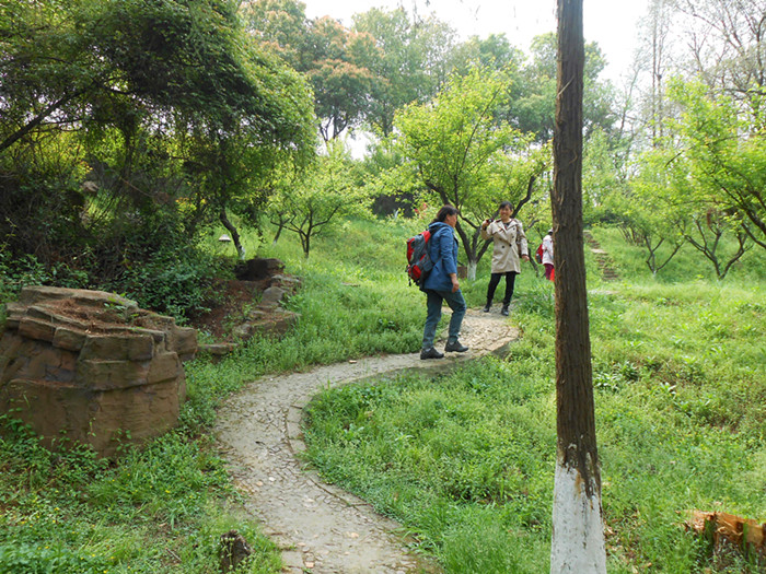 dscn0485.jpg
