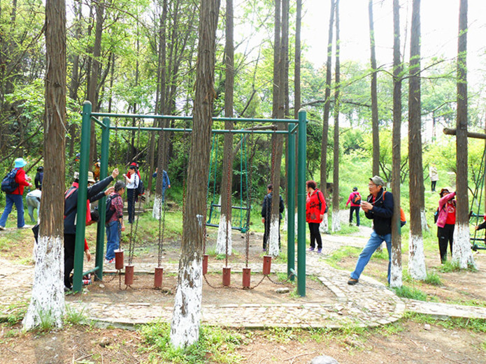 dscn0482.jpg