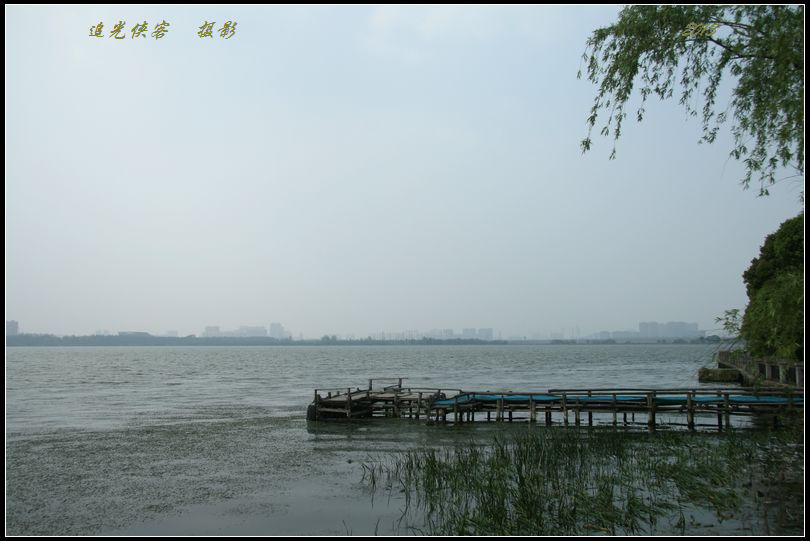 img_3651a.jpg
