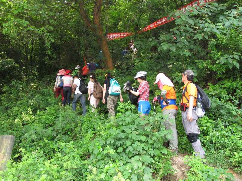 simg_8981.jpg