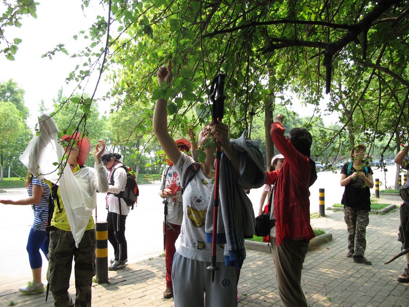 simg_8974.jpg