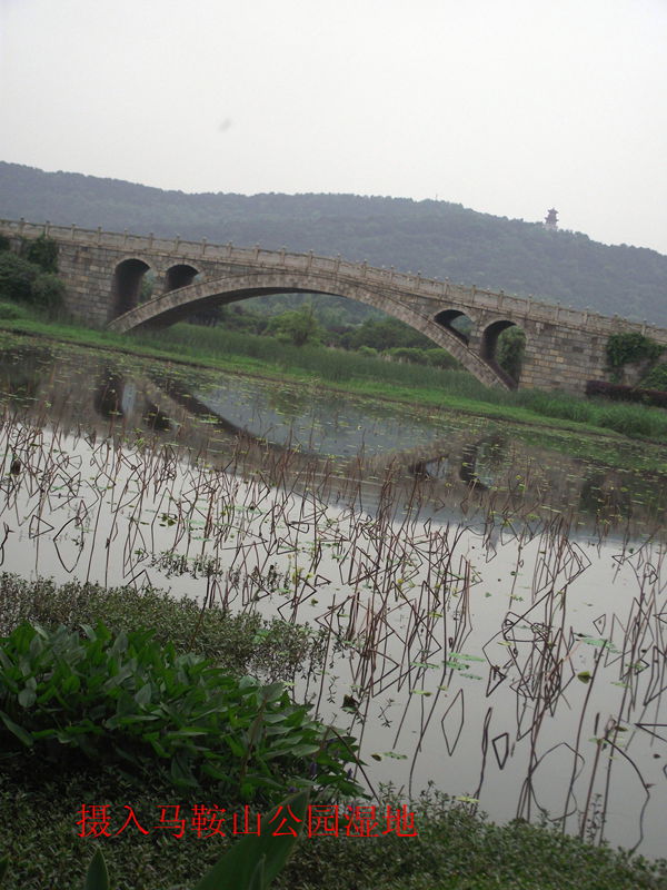 dscf8080.jpg