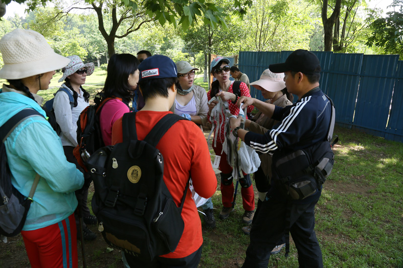 6u0b8106.jpg