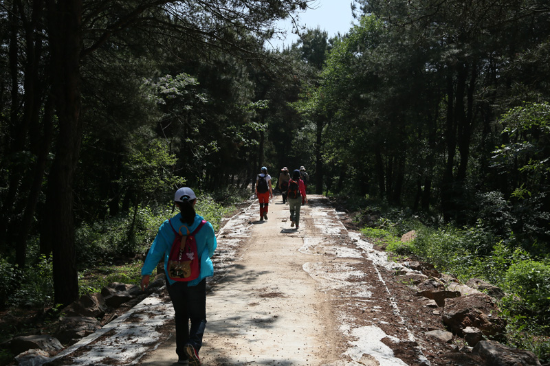6u0b8139.jpg