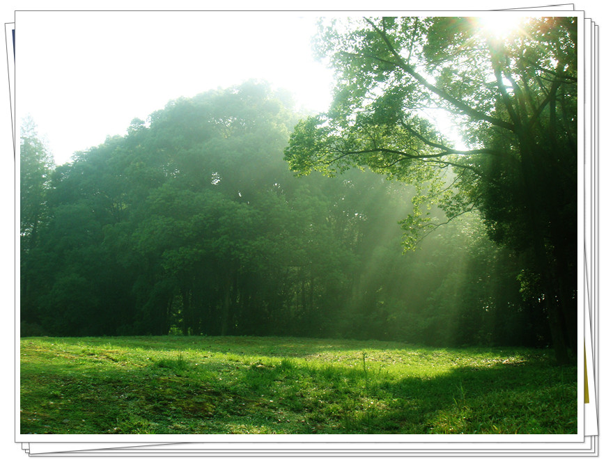 dsc06477_.jpg