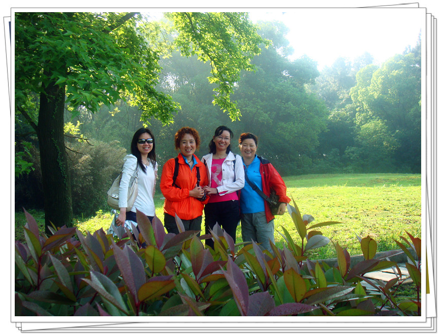 dsc06495_.jpg