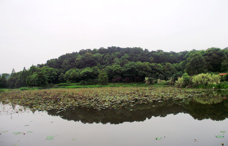 dscf8098.jpg