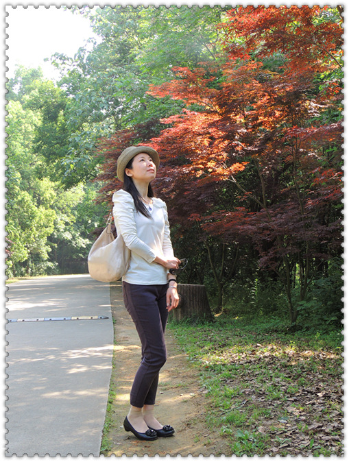 dscn5536_.jpg