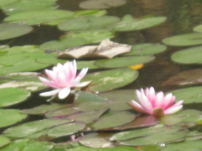 4ĥɽͽ 069.jpg