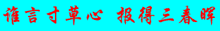 667.gif