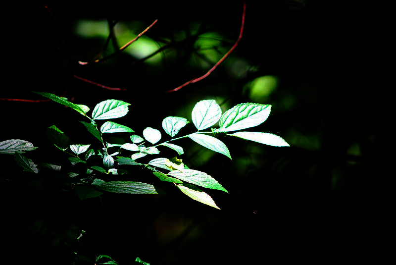 neo_img_һ 051---.jpg
