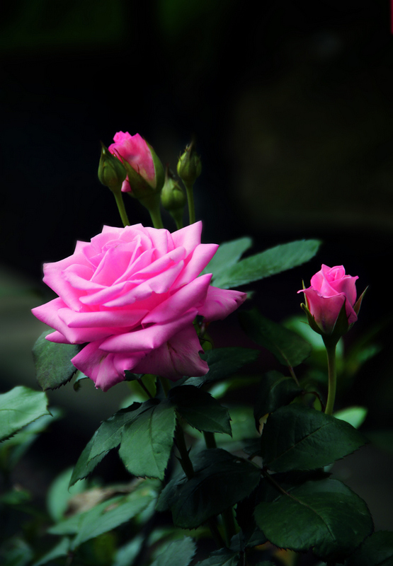img_7483 ba.jpg