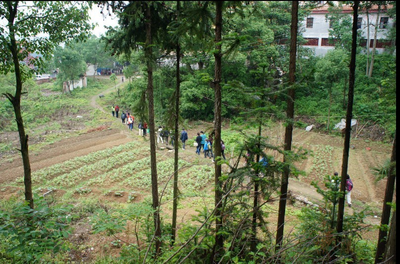 19.jpg