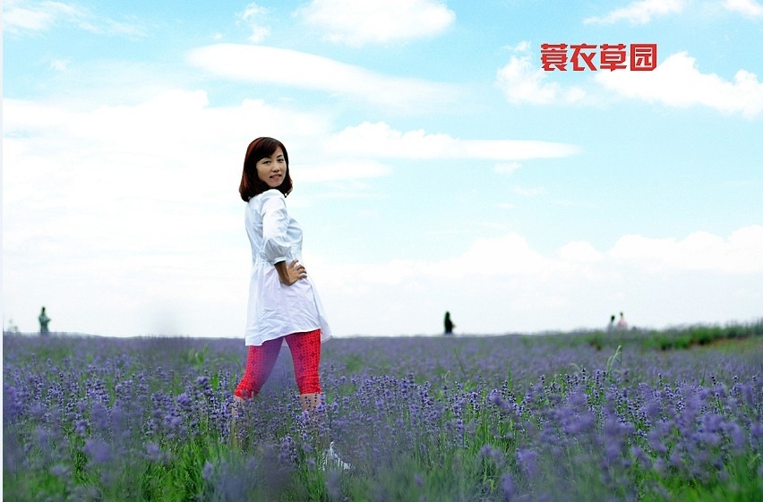 qqͼƬ20130520211726.jpg