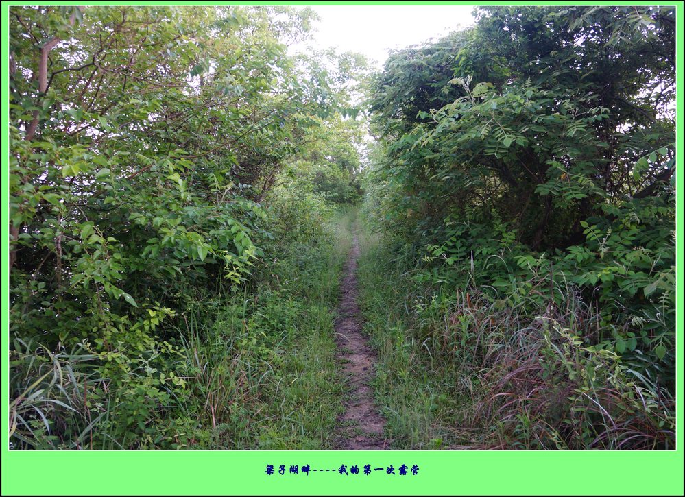 Ӻ¶Ӫ5.jpg