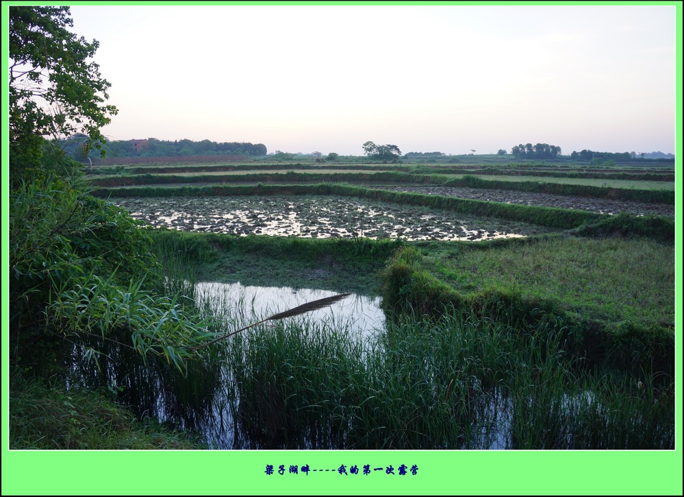 Ӻ¶Ӫ4.jpg