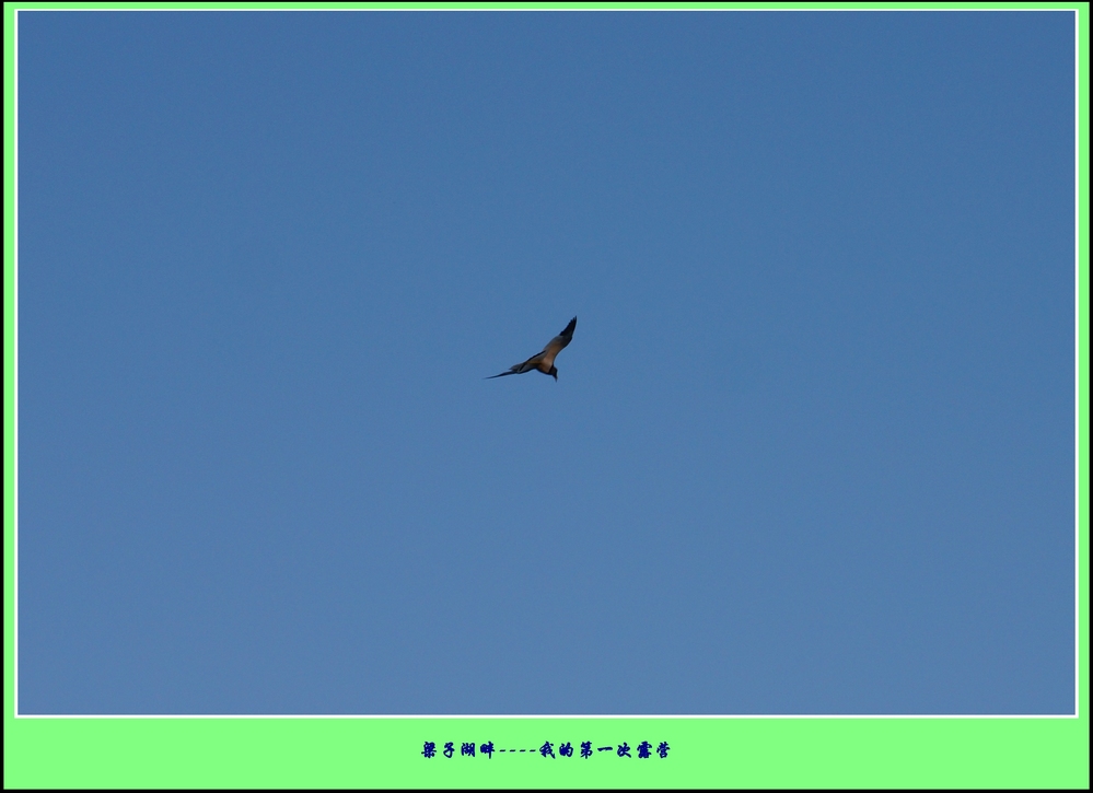 Ӻ¶Ӫ16.jpg