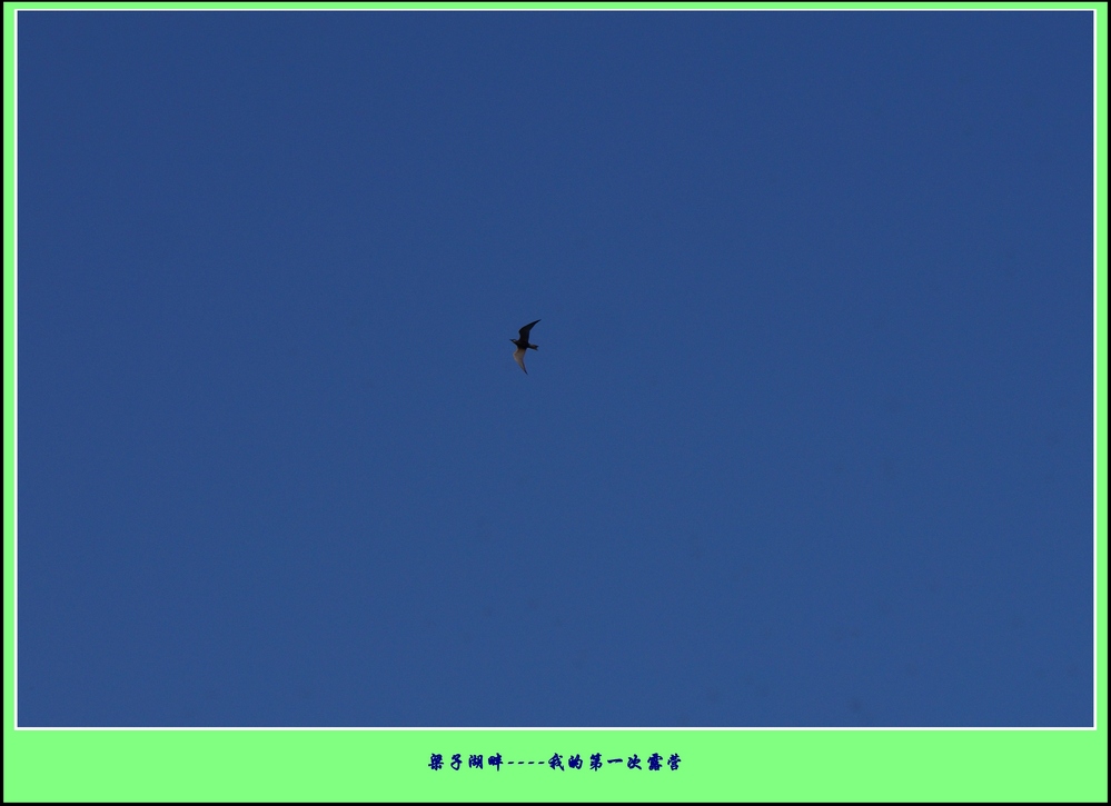 Ӻ¶Ӫ13.jpg