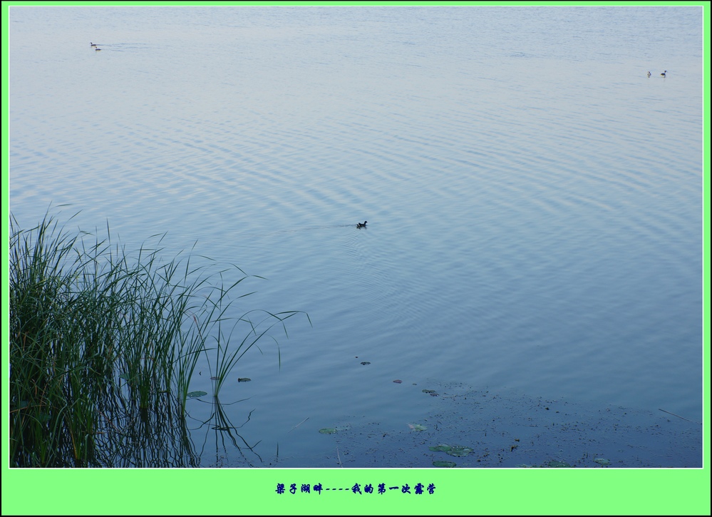 Ӻ¶Ӫ25.jpg