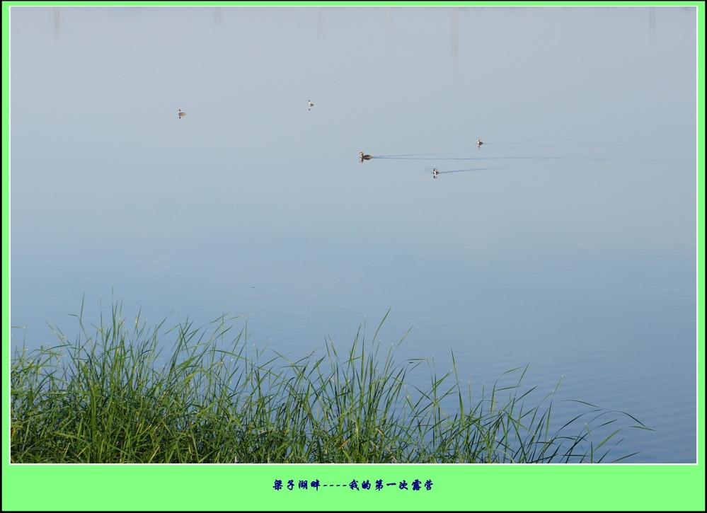 Ӻ¶Ӫ31.jpg