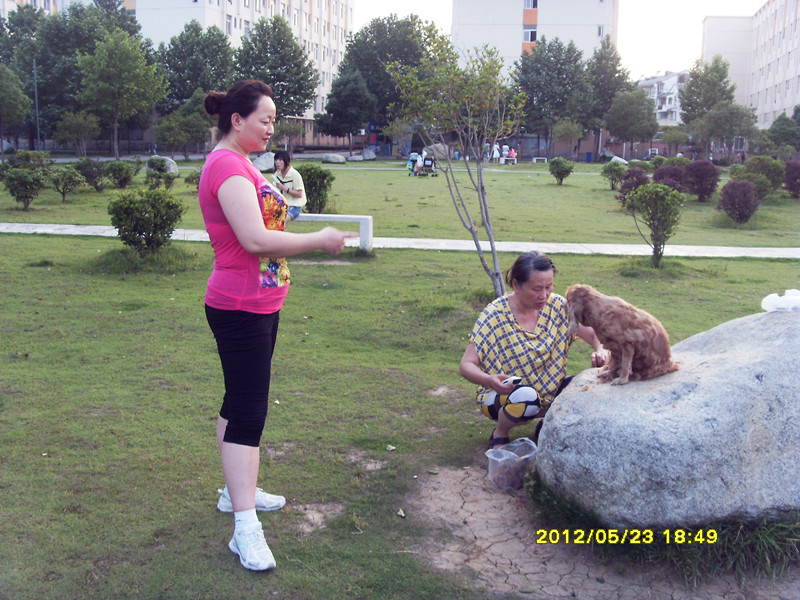 sdc11297_.jpg