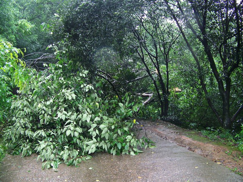 neo_img_100_9361.jpg