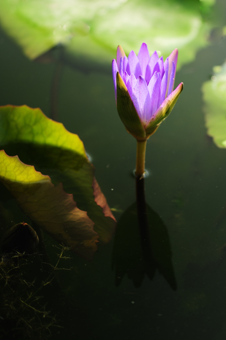 _dsc0089a.jpg