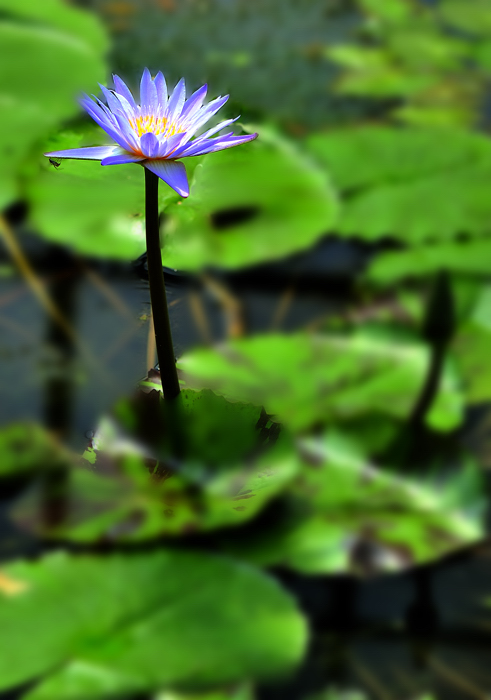 _dsc0148.jpg