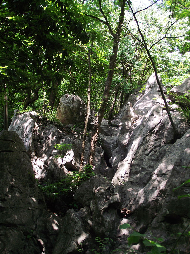 dscf8168.jpg