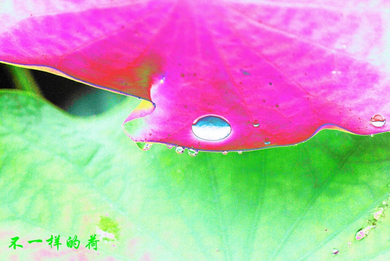 neo_img_dsc_1690----_conew2.jpg