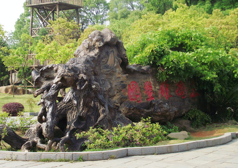 dscf8100.jpg
