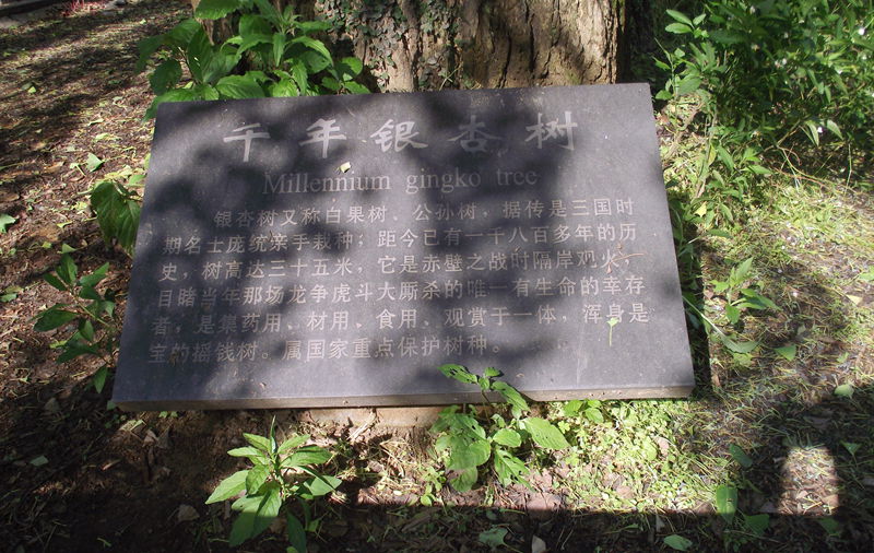 dscf8105.jpg