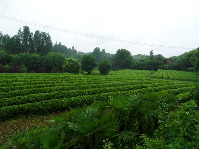 sdc18228.jpg