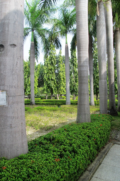 img_1543_.jpg