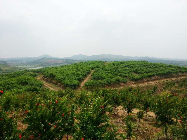 qqͼƬ20130527173647.jpg