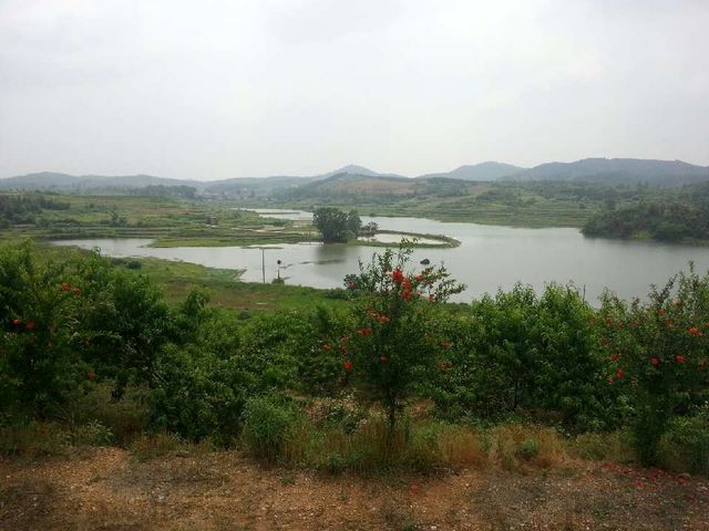 qqͼƬ20130527173705.jpg